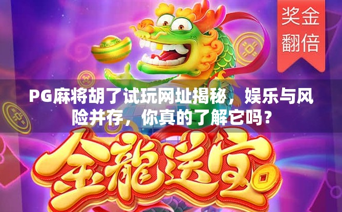 PG麻将胡了试玩网址揭秘，娱乐与风险并存，你真的了解它吗？